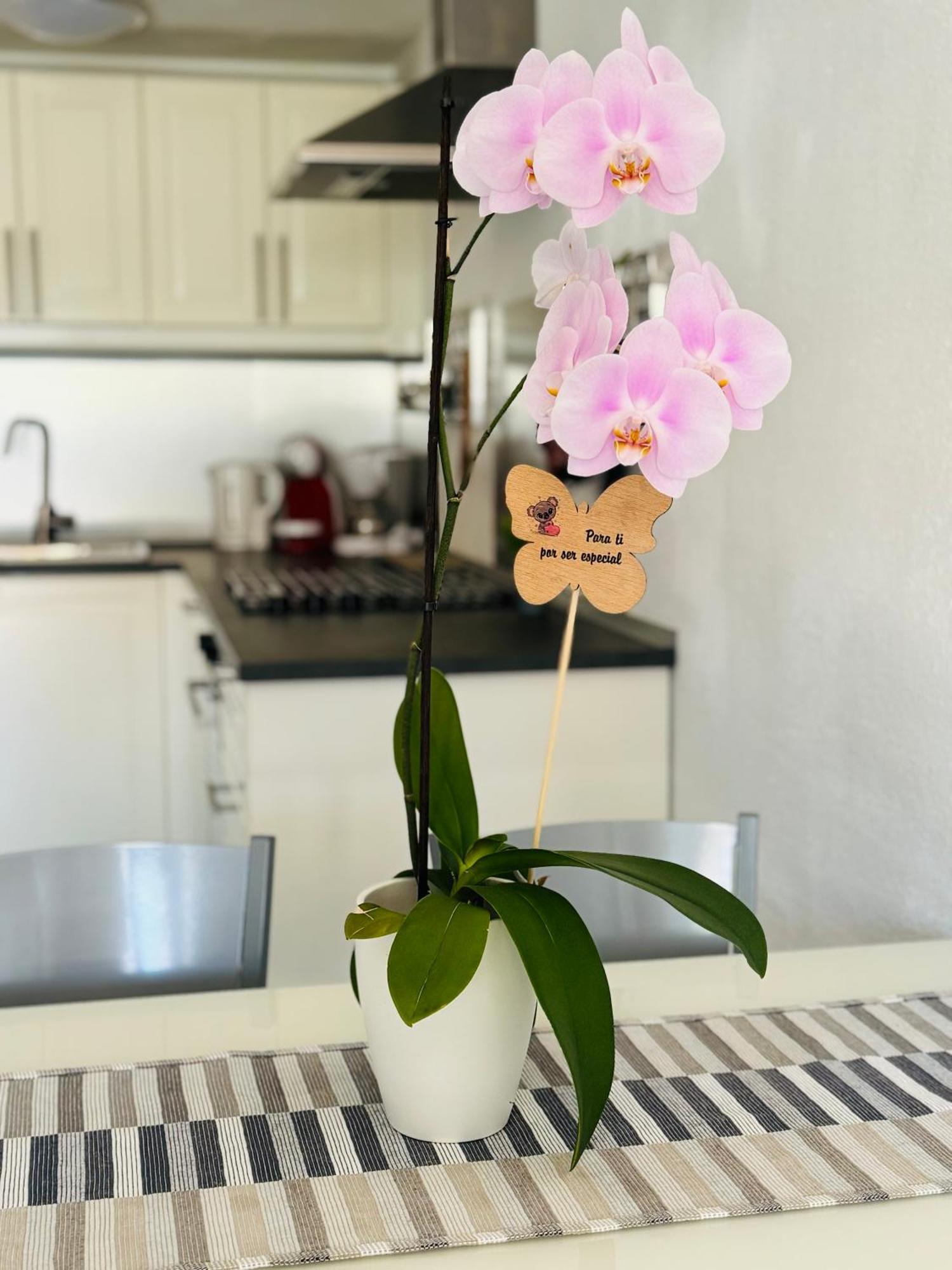 Bungalow Casita マスパロマス エクステリア 写真